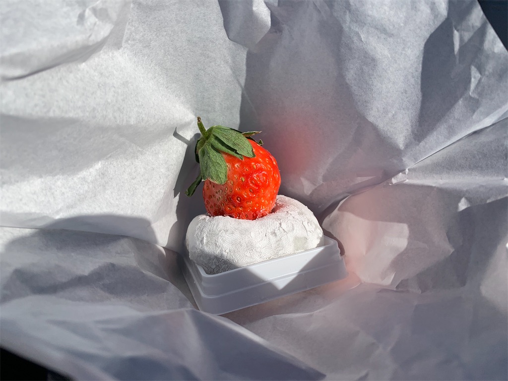 f:id:tb_ayamiya:20220102125959j:image