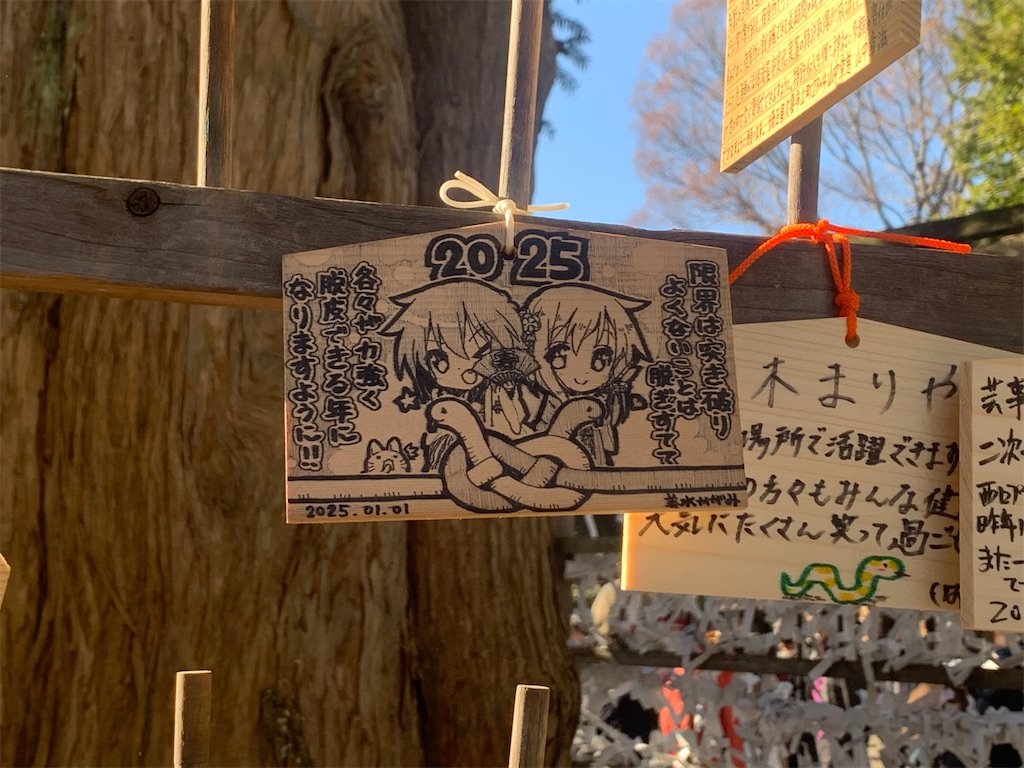 f:id:tb_ayamiya:20250123110839j:image