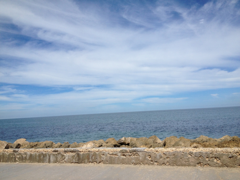 f:id:tb_yasu:20121020102851j:image f:id:tb_yasu:20121020102851j:image