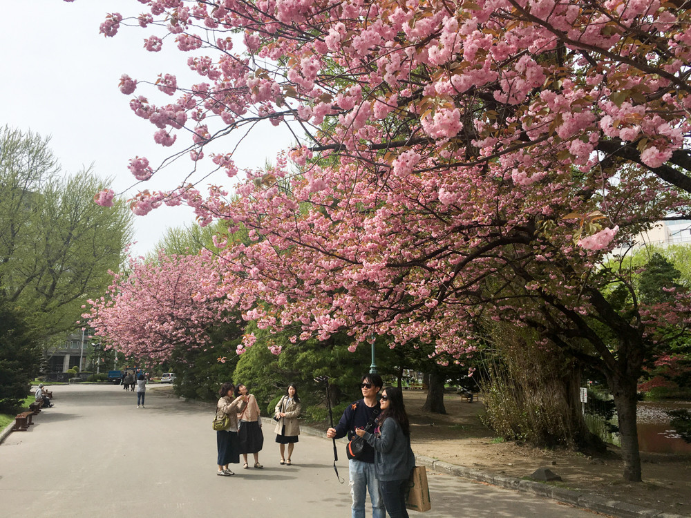 f:id:tboffice:20170513134027j:plain f:id:tboffice:20170513134027j:plain