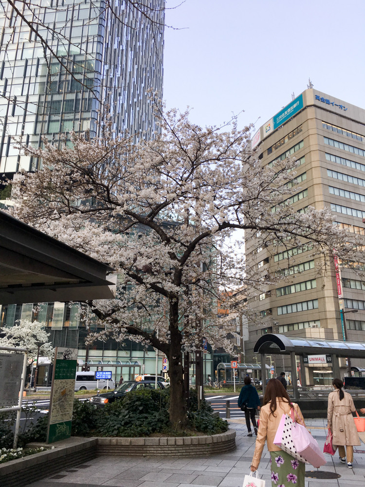 f:id:tboffice:20180325171431j:plain