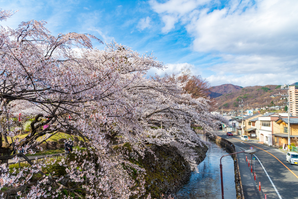 f:id:tboffice:20180407153658j:plain f:id:tboffice:20180407153658j:plain
