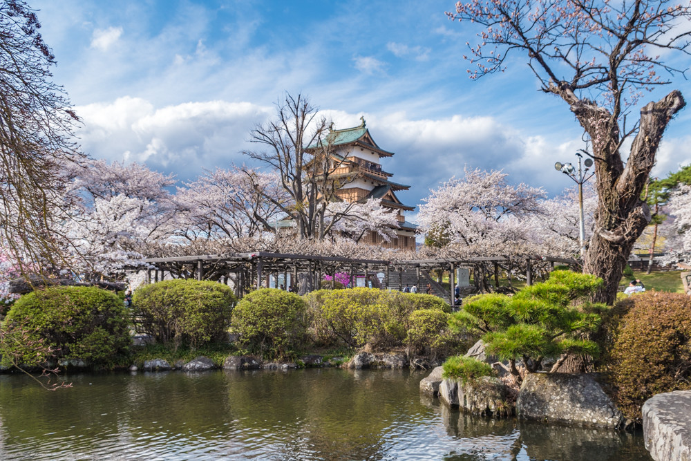 f:id:tboffice:20180407153848j:plain f:id:tboffice:20180407153848j:plain
