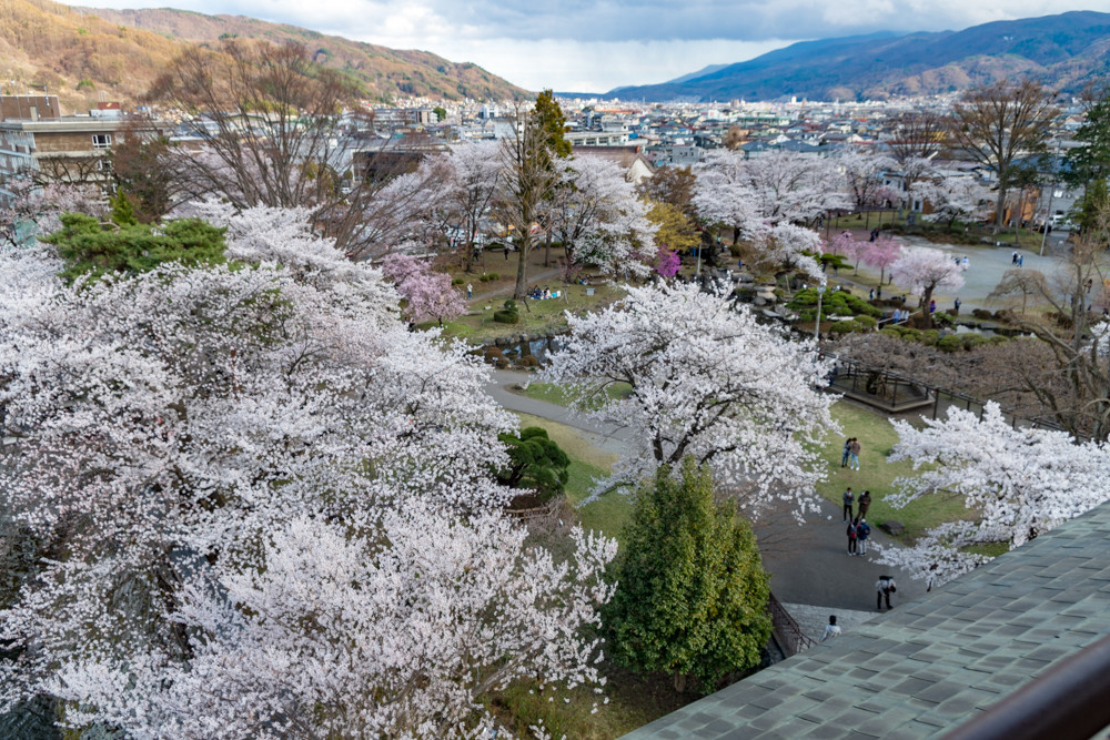 f:id:tboffice:20180407154512j:plain f:id:tboffice:20180407154512j:plain