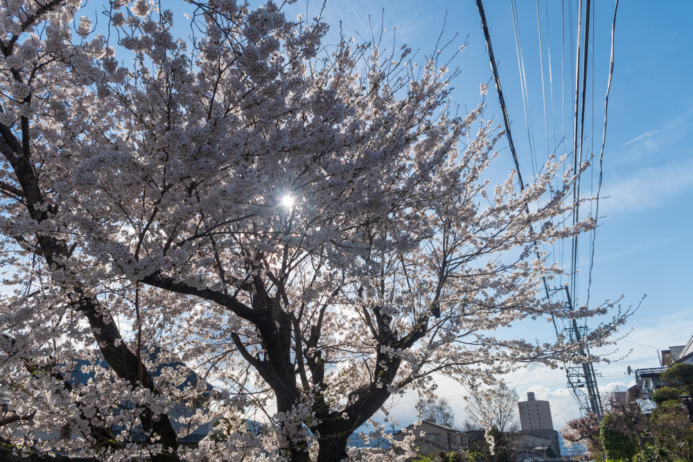 f:id:tboffice:20180407160057j:plain f:id:tboffice:20180407160057j:plain