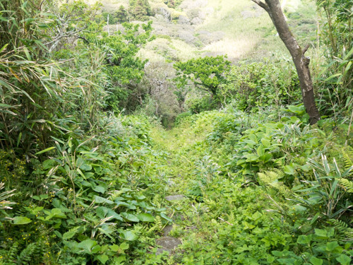 f:id:tboffice:20180506110254j:plain f:id:tboffice:20180506110254j:plain