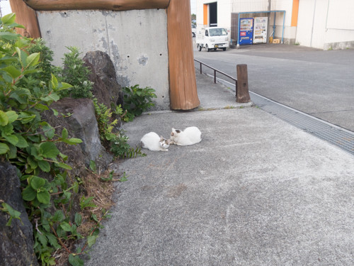 f:id:tboffice:20180506164518j:plain