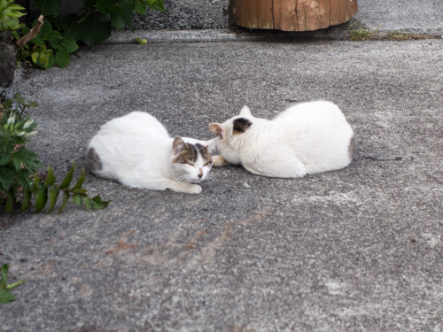 f:id:tboffice:20180506164523j:plain