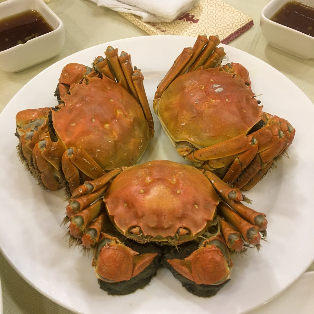 f:id:tboffice:20181214194937j:plain