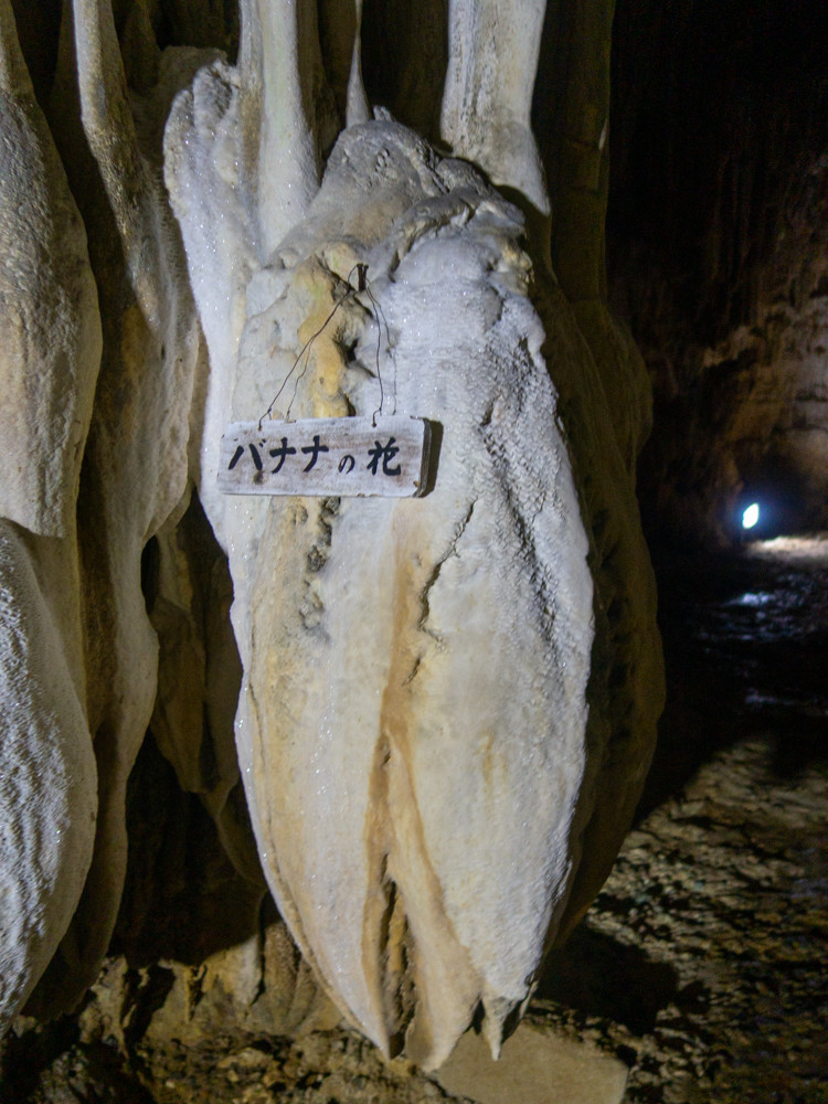 f:id:tboffice:20190403112819j:plain