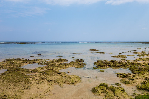 f:id:tboffice:20190404102114j:plain