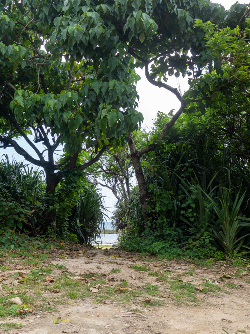 f:id:tboffice:20190404102713j:plain