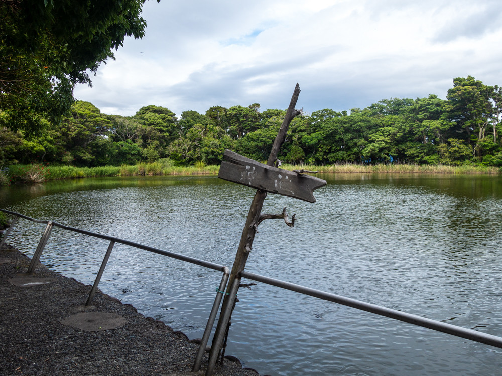 f:id:tboffice:20190622154147j:plain