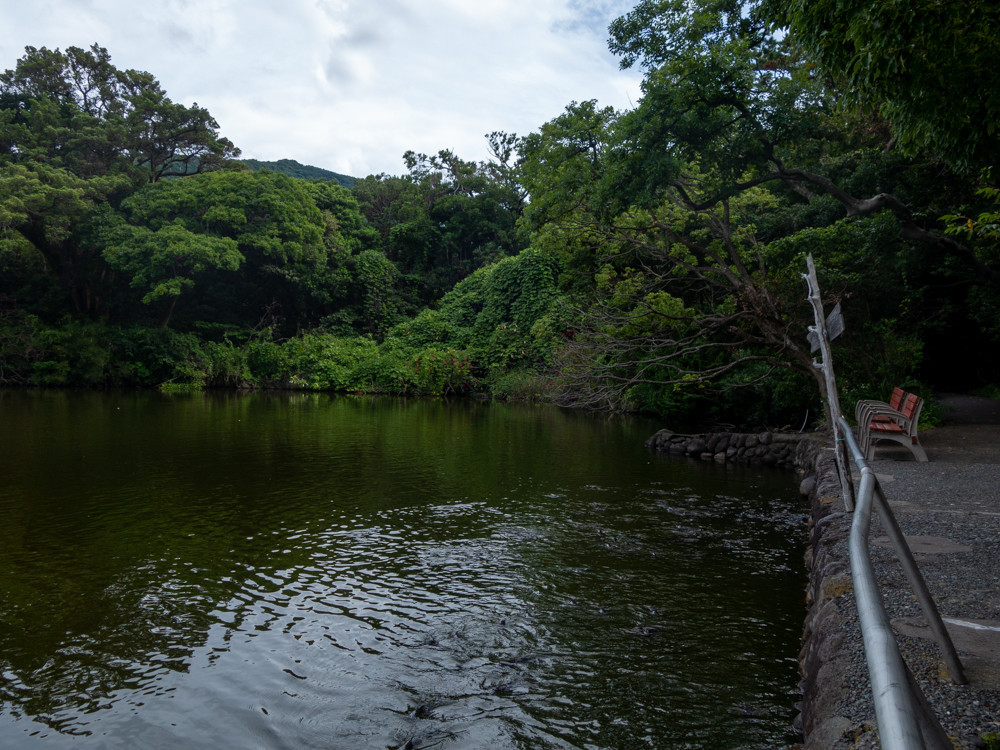 f:id:tboffice:20190622154522j:plain