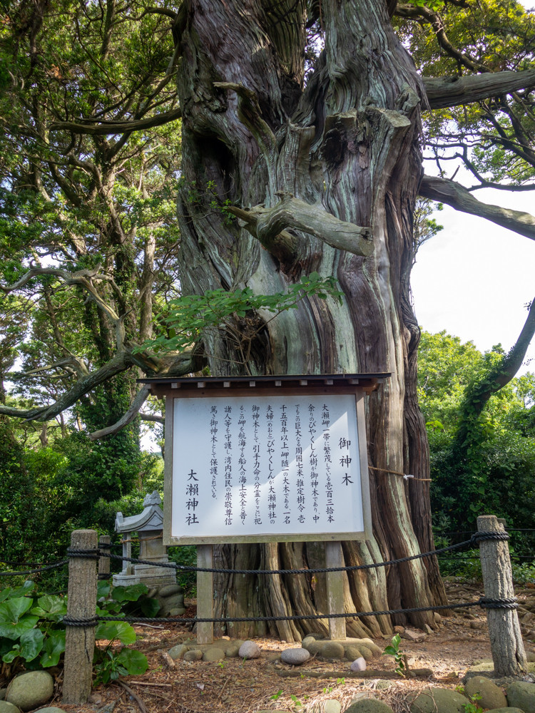 f:id:tboffice:20190622160002j:plain