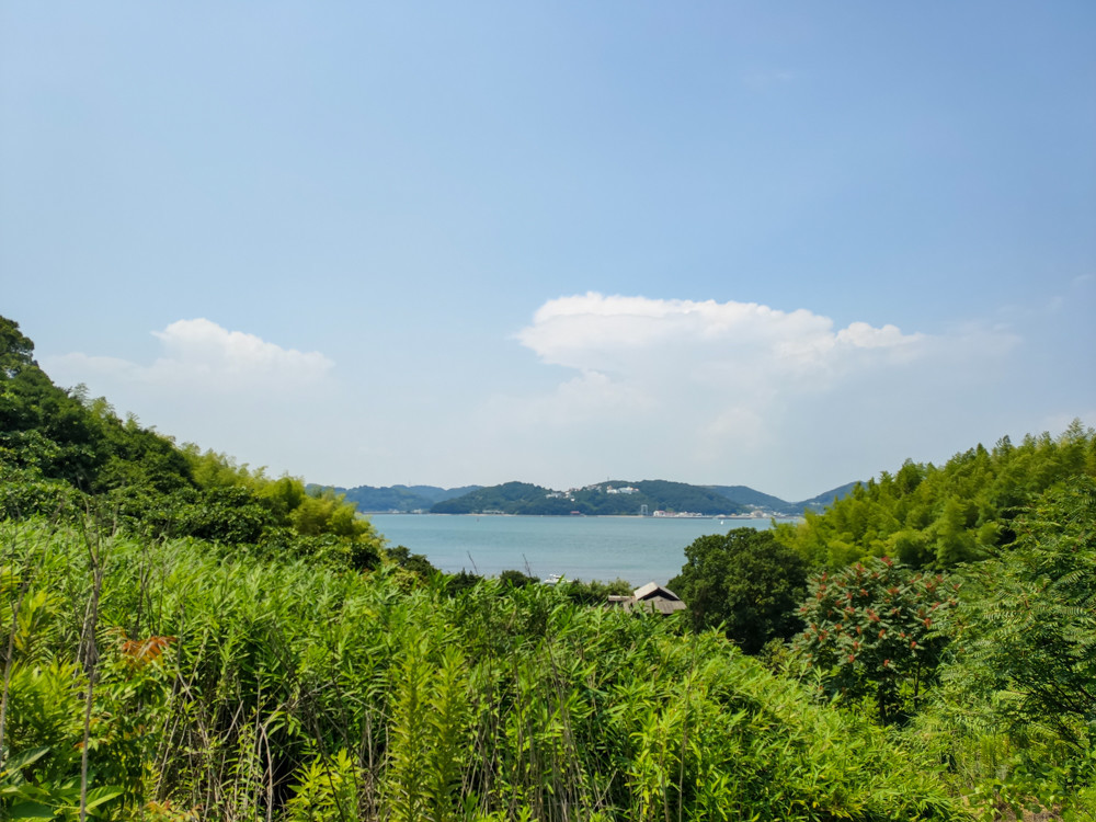 f:id:tboffice:20190727130823j:plain