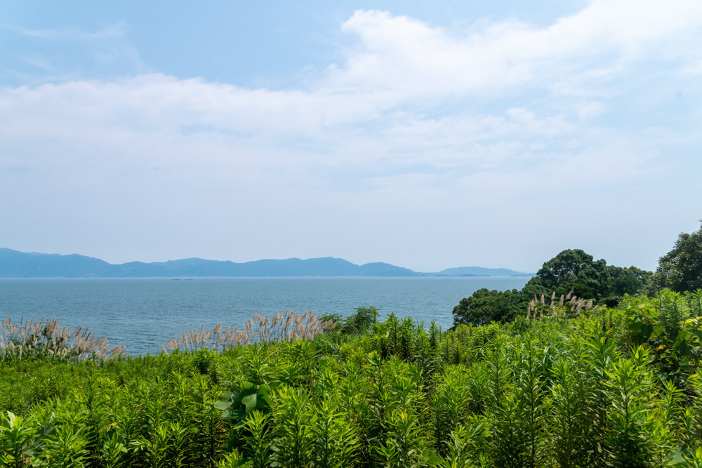 f:id:tboffice:20190727131239j:plain