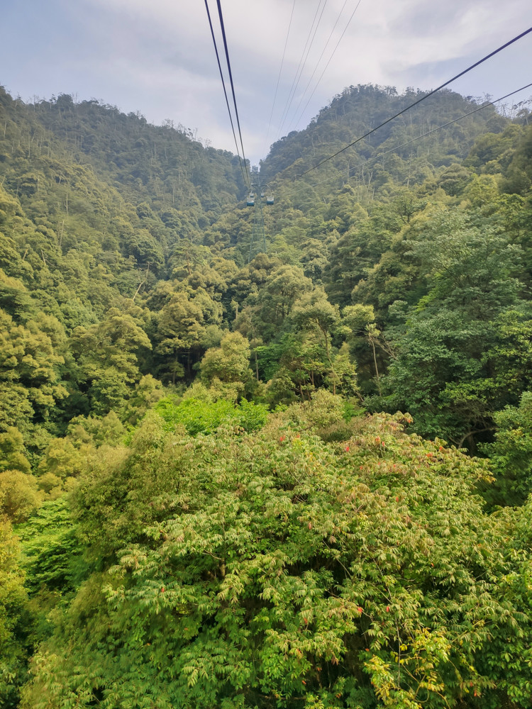 f:id:tboffice:20190728150940j:plain