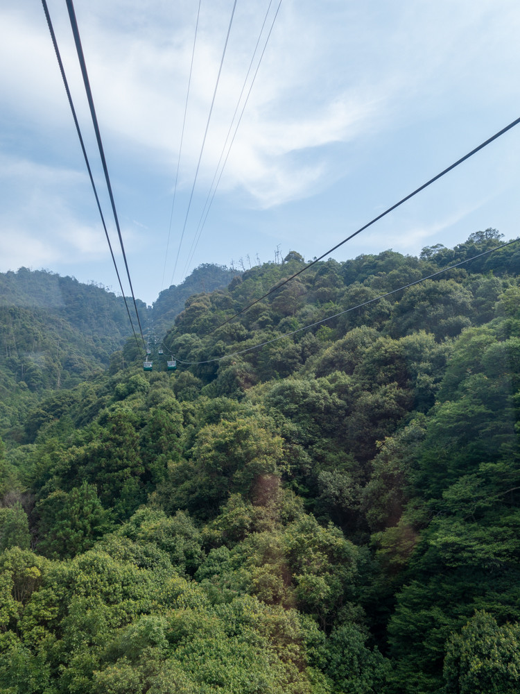 f:id:tboffice:20190728151649j:plain