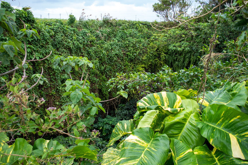 f:id:tboffice:20191202131035j:plain