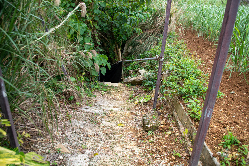 f:id:tboffice:20191202131038j:plain