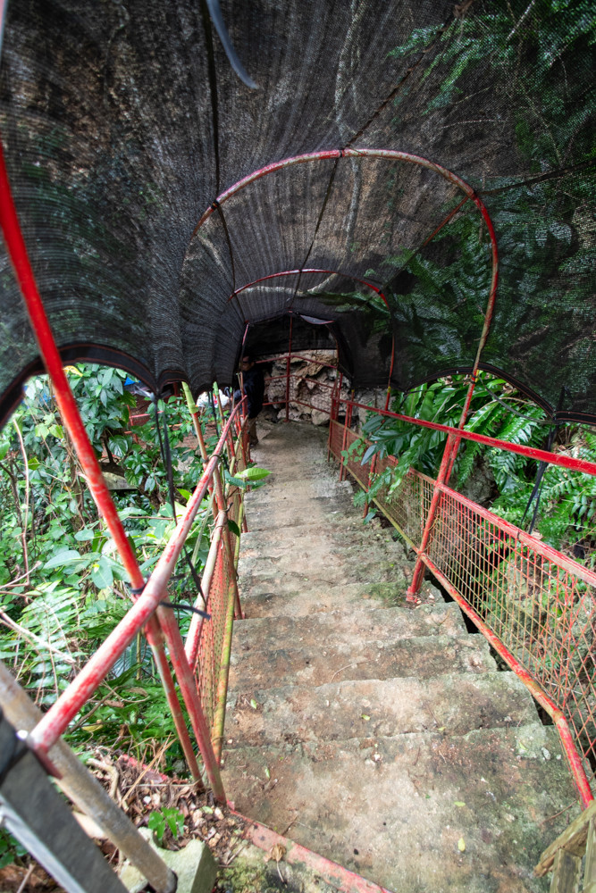 f:id:tboffice:20191202131113j:plain