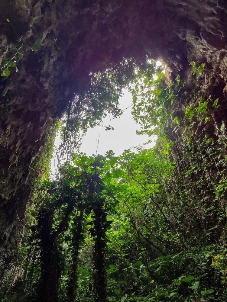 f:id:tboffice:20191202131307j:plain