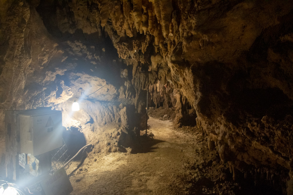 f:id:tboffice:20191202132854j:plain