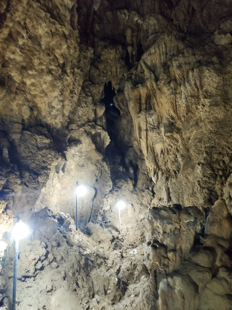 f:id:tboffice:20191202133157j:plain