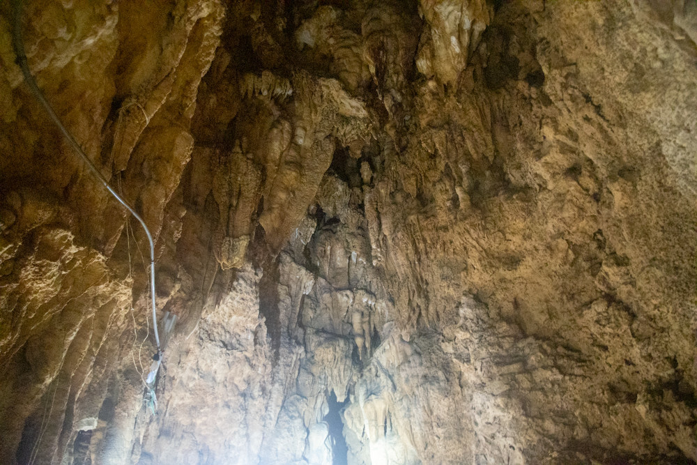 f:id:tboffice:20191202133430j:plain