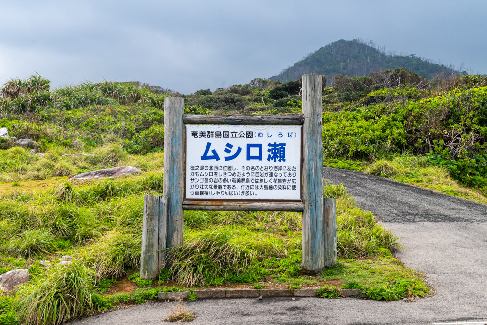 f:id:tboffice:20200302001155j:plain