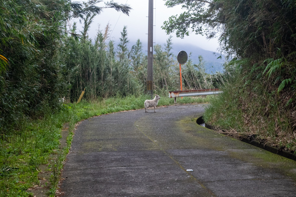 f:id:tboffice:20200331075253j:plain