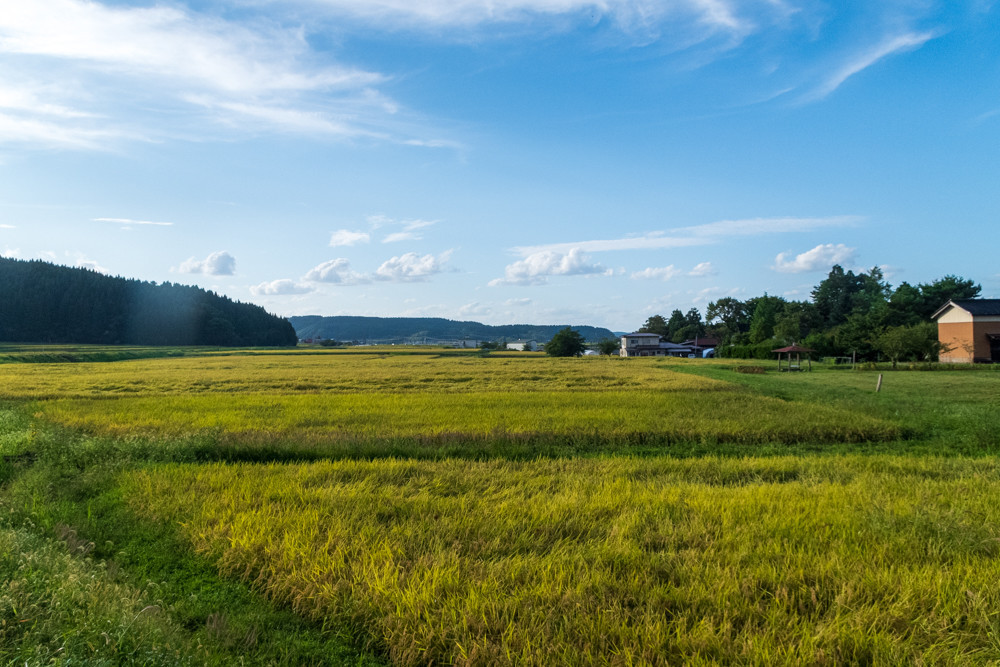 f:id:tboffice:20200920160708j:plain