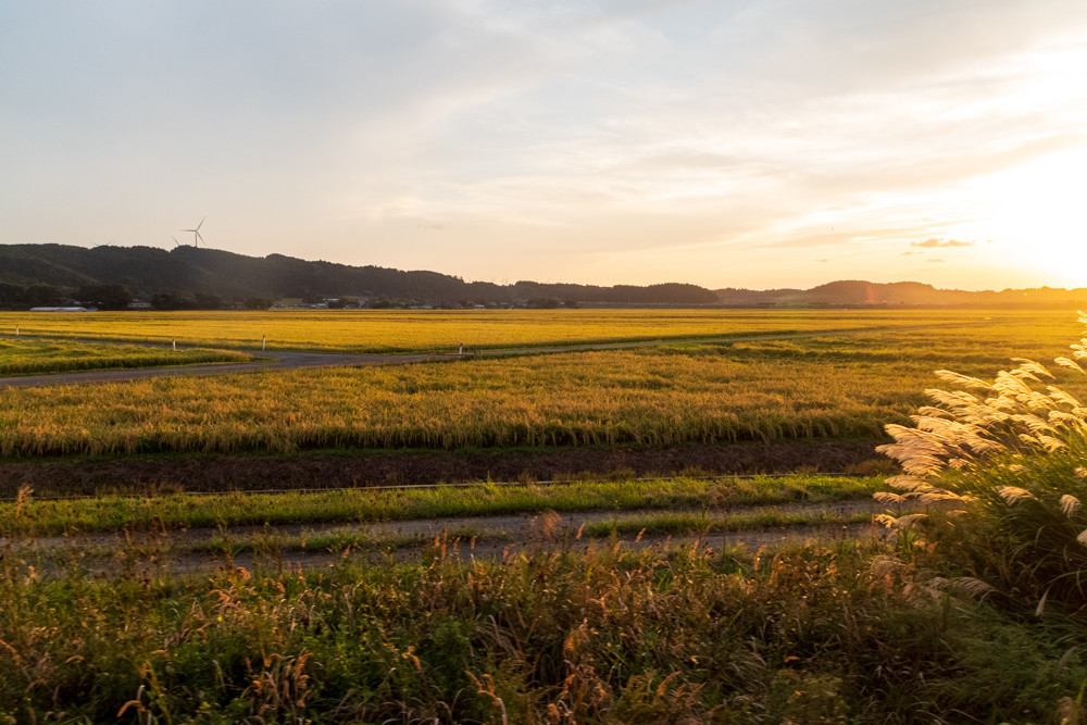 f:id:tboffice:20200920172548j:plain