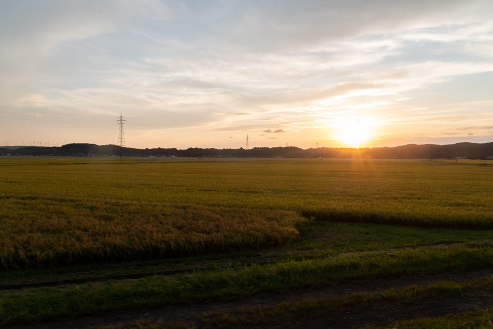 f:id:tboffice:20200920172740j:plain