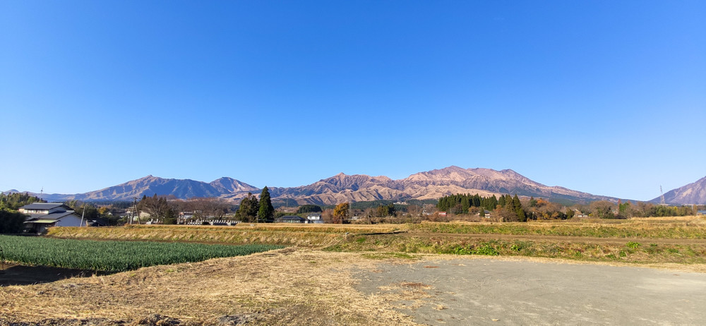 f:id:tboffice:20201207150254j:plain