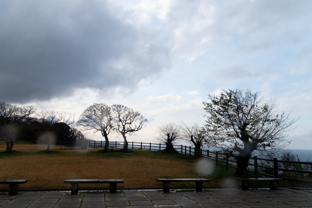 f:id:tboffice:20201212151249j:plain