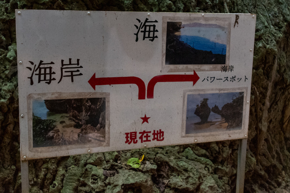 f:id:tboffice:20201230120358j:plain