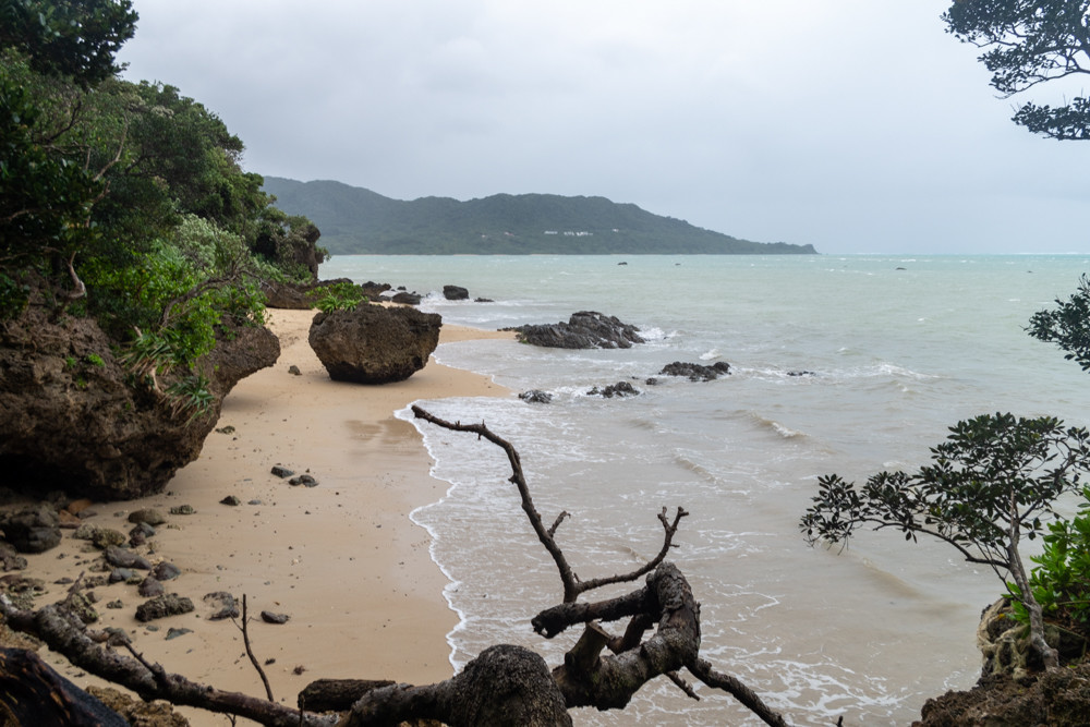 f:id:tboffice:20201230121158j:plain