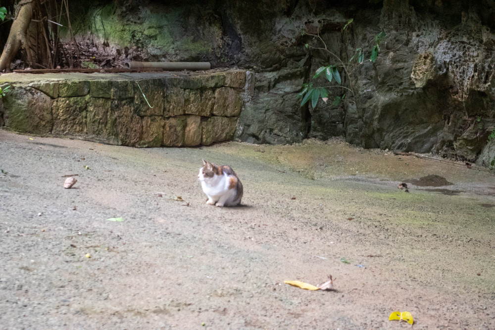 f:id:tboffice:20201230122854j:plain