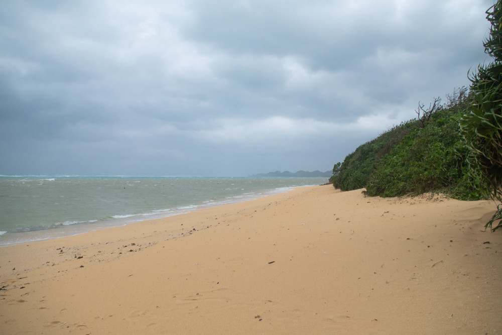 f:id:tboffice:20201230135402j:plain