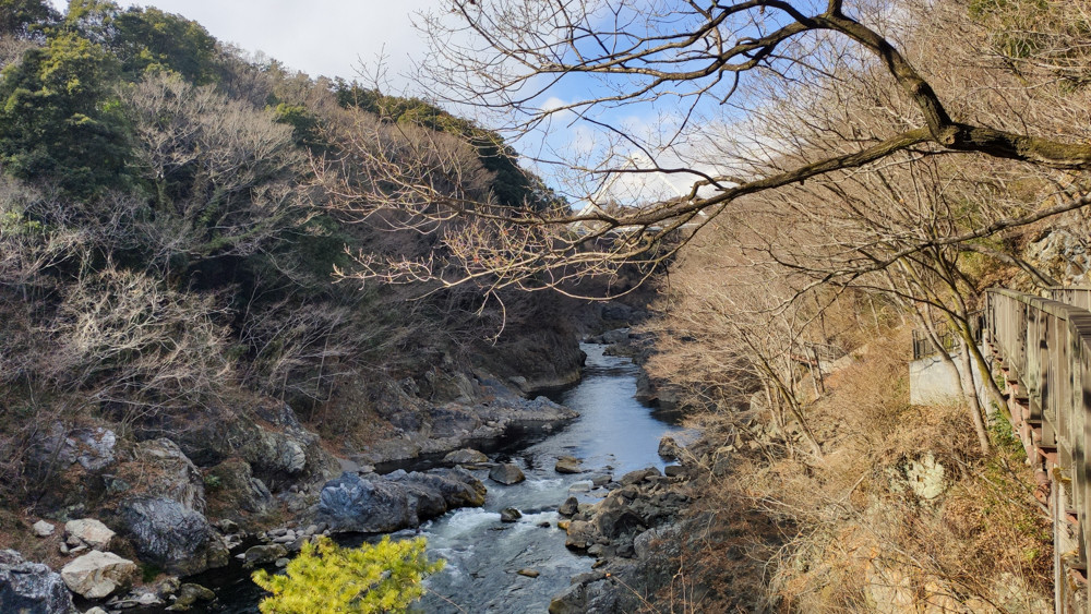 f:id:tboffice:20210130135656j:plain