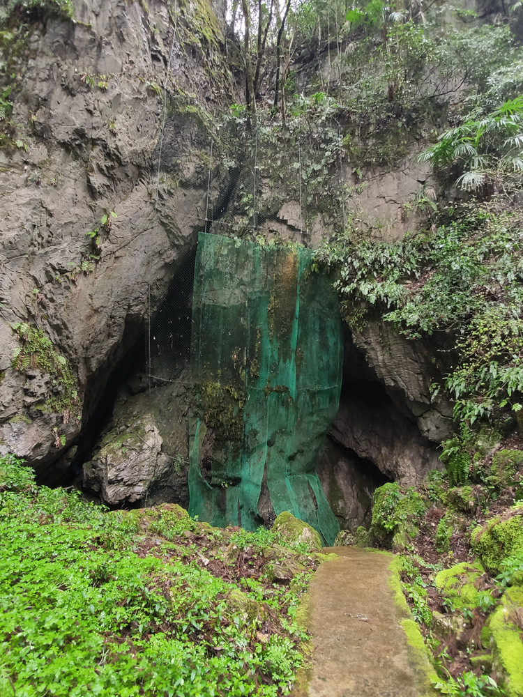 f:id:tboffice:20210404140400j:plain