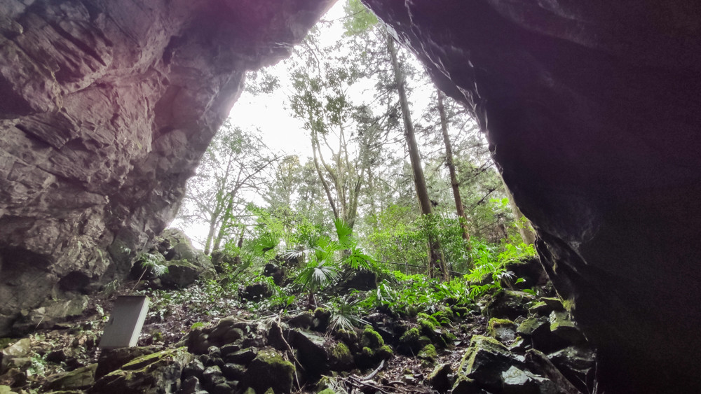 f:id:tboffice:20210404140455j:plain