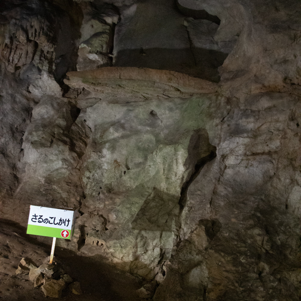 f:id:tboffice:20210404142322j:plain