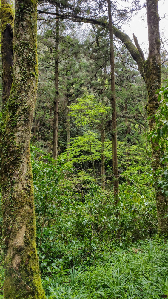 f:id:tboffice:20210404142604j:plain