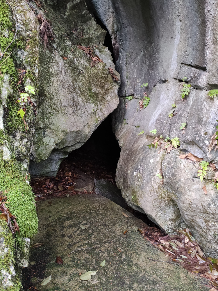 f:id:tboffice:20210404142858j:plain