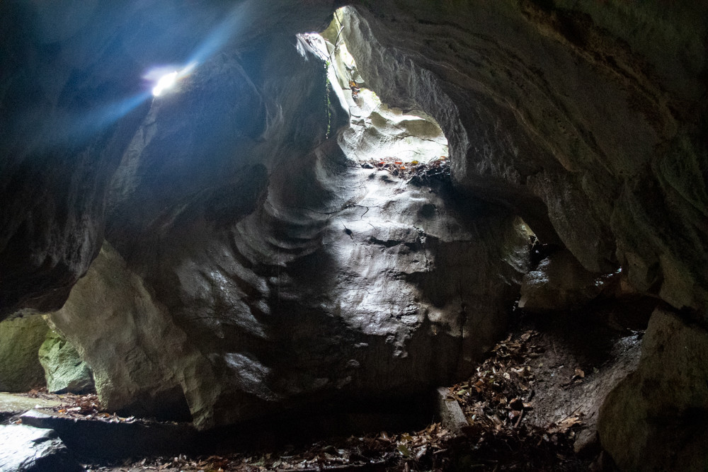 f:id:tboffice:20210404143350j:plain