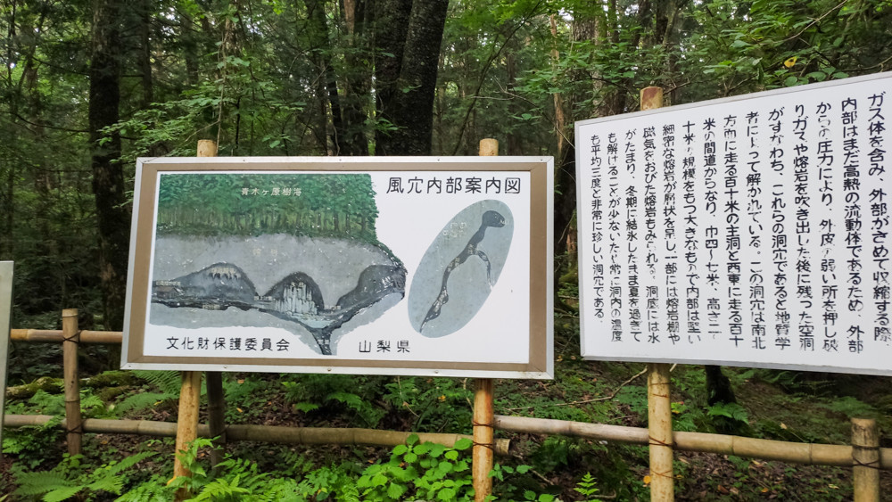 f:id:tboffice:20210626142032j:plain