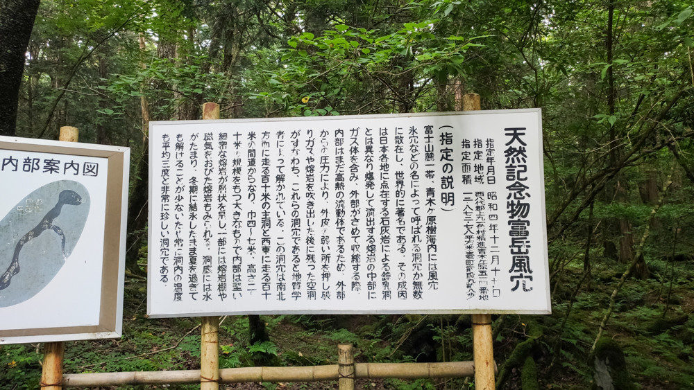 f:id:tboffice:20210626142033j:plain
